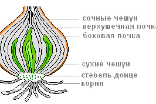 2krn at официальный